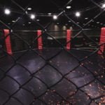 The Rock, President Trump watch Masvidal win big at UFC 244