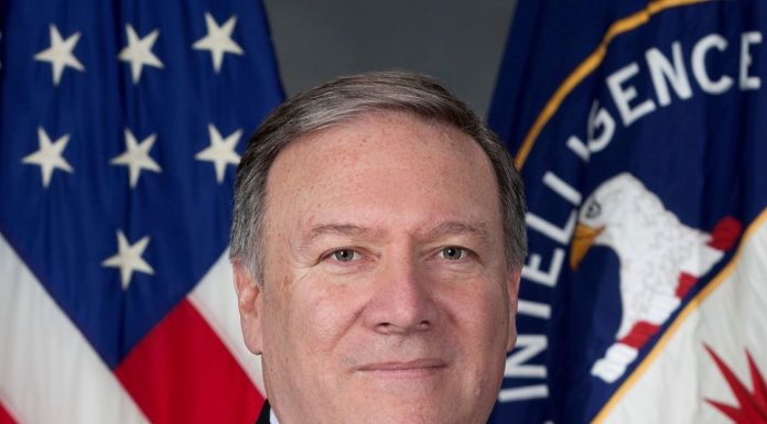 Horse-trading Iran hawks seize on Pompeo’s Senate interest