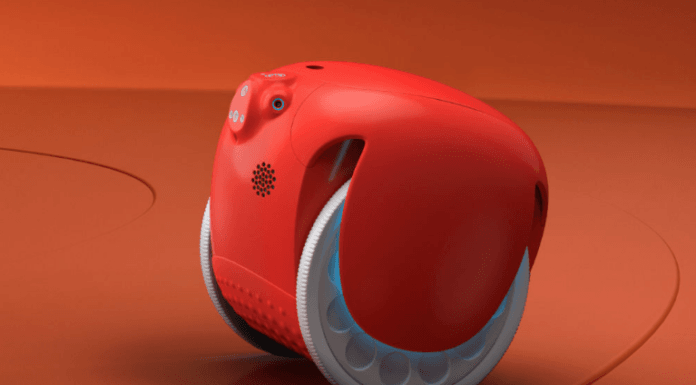 Grocery-carrying robots are coming. Do we need them?