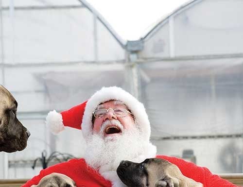 Skate, snap & shop for the animals this holiday season
