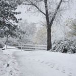 URGENT Heavy snow, travel warnings issued