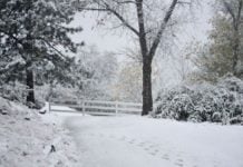 URGENT Heavy snow, travel warnings issued