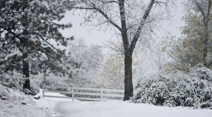Anza Valley sees first snowfall