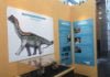 The “Tiny Titan” Dinosaur Exhibit highlights local science at the Western Science Center