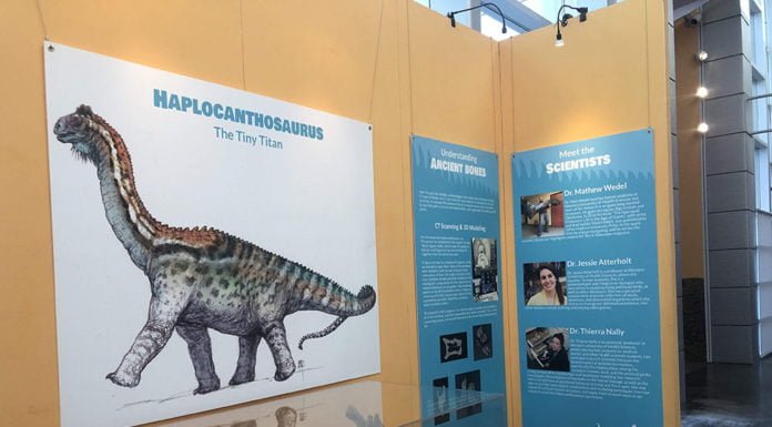 The “Tiny Titan” Dinosaur Exhibit highlights local science at the Western Science Center