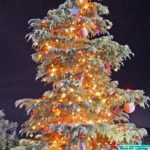 Peltzer gets holiday season started with two days of tree lightings