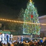 South Coast Winery Resort and Spa kicks off holiday season with tree lighting