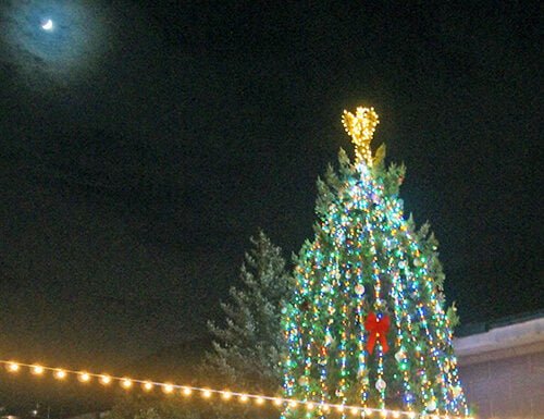 South Coast Winery Resort and Spa kicks off holiday season with tree lighting