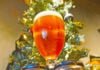 Craft Brewing Co. launches Oh, Christmas Tree Triple IPA just in time for holidays
