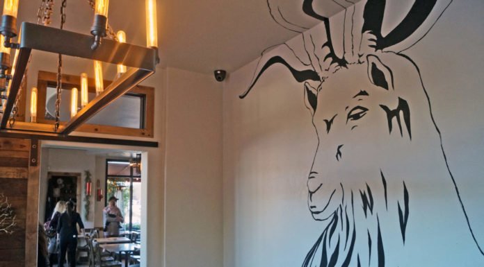 The Goat and Vine to move, Nightingale to close