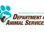 Woman attacked while trying to pull fighting dogs apart