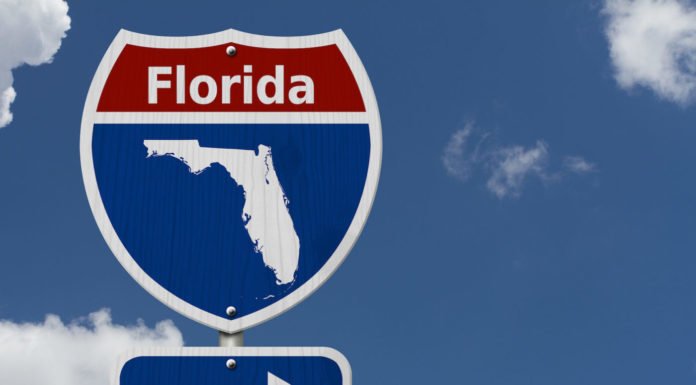Alligators, pricey bananas and naked people: 2019 in Florida