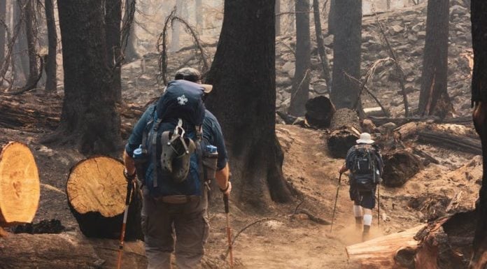 As California thins forests to limit fire risk, some resist