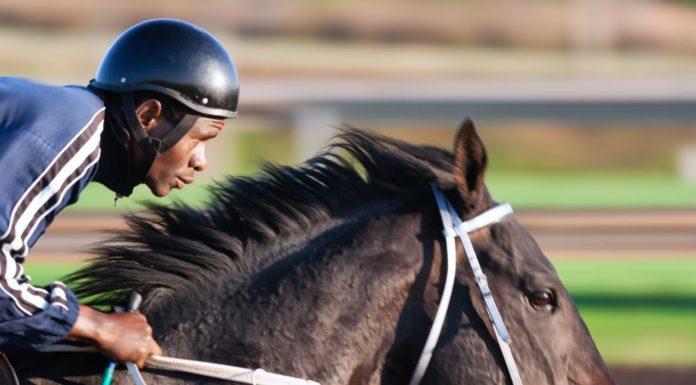 California becoming most restrictive state for riding crops