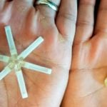 Once-a-month birth control pill? Experiment works in animals