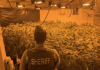 Man arrested during illegal marijuana grow raid at French Valley house