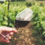 Paso Robles area offers wine-tasters variety