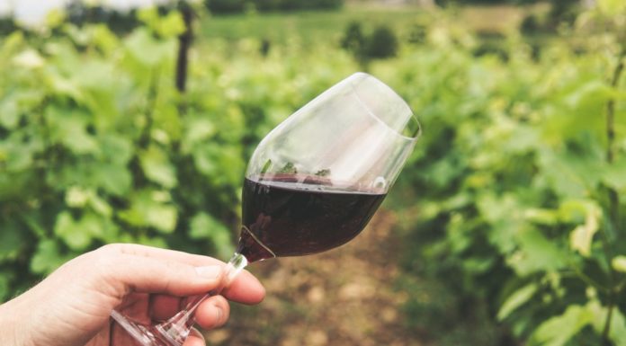 Paso Robles area offers wine-tasters variety