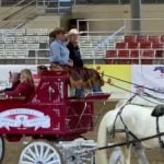 Horsewomen of Temecula highstep their way to Tournament of Roses parade