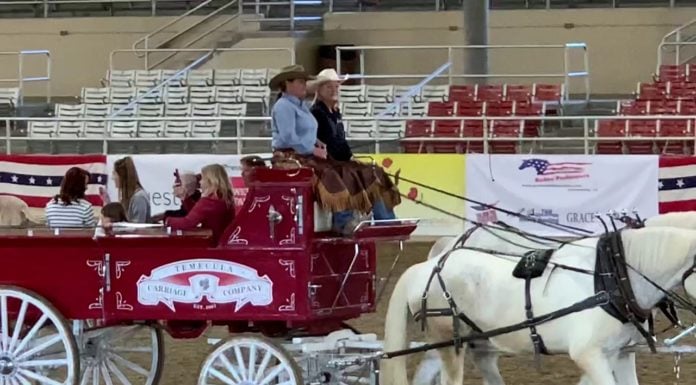 Horsewomen of Temecula highstep their way to Tournament of Roses parade