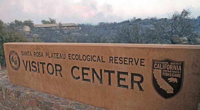 Fundraising efforts continue to rebuild Santa Rosa Plateau Santa Rosa Ecological Reserve