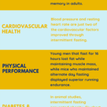 Intermittent fasting: live ‘fast,’ live longer?