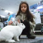 Bunnies abound at Lucky Bunny Rabbit Rescue adoption event