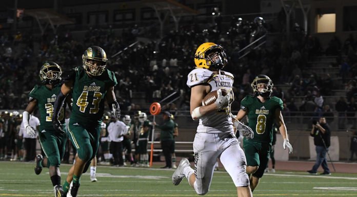 Southwestern League Fall Sports All-League selections