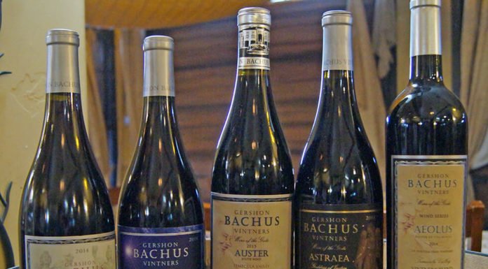 Gershon Bachus embraces kosher-style winemaking, autonomy