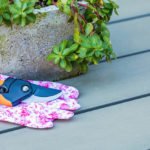 Temecula Valley Rose Haven Heritage Garden to host annual pruning event Pruning tools