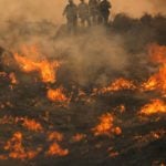 Tresino’s Italian Restaurant to hold fundraiser for SRPER recovery Fire at Santa Rosa Plateau Ecological Reserve