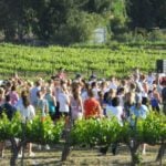 Temecula Sunrise Rotary sponsors annual 5K/10K run Runners