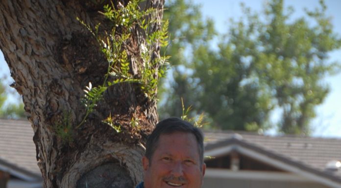 Local author to release latest book