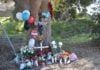 3 teens die, 3 injured in California hit-and-run crash
