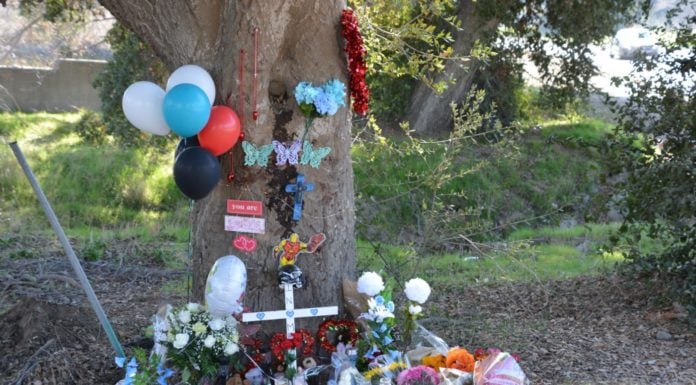 3 teens die, 3 injured in California hit-and-run crash