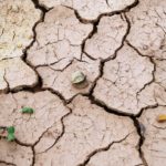 Water agencies join agreement to save supplies for future droughts
