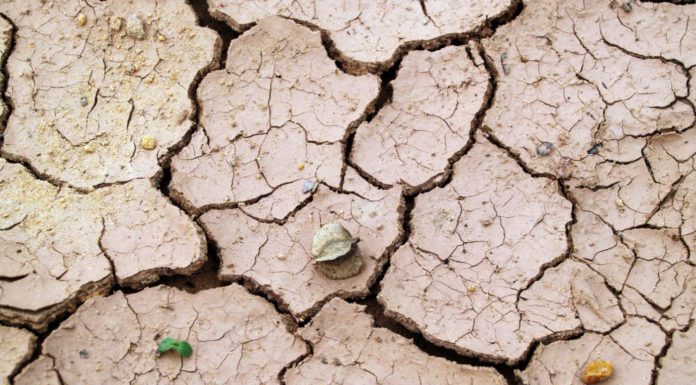 Fever chart: Earth had its hottest decade on record in 2010s