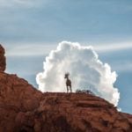 Grand Teton park to begin killing invasive mountain goats