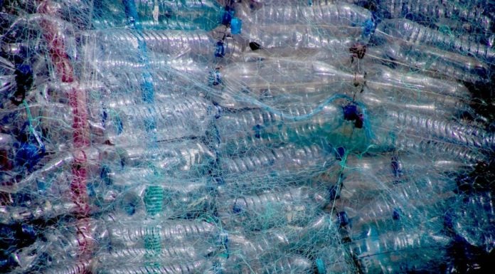 California may require beverage makers to handle recycling