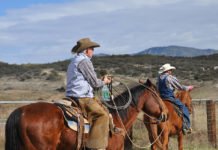 Anza’s real-life cowboys and cowgirls wrangle calves Steve Sieke