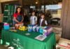 Girl Scouts offer cookies in Anza Girl scouts selling cookies