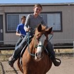 Meet Heavenly Horse Haven’s Adoptable Animal of the Week, Cali