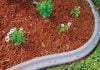 Mulching mistakes to avoid