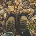 Forest Service: stay `close to home’ rather than on trails for exercise