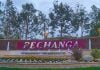 Pechanga announces postponement of all concerts for rest of 2020