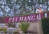 Let Pechanga do the cooking this Thanksgiving