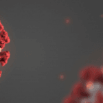 Countries start thinking about easing up on restrictions