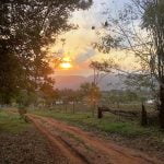 Peace Corps recalls more than 7,000 volunteers but not all properly screened for COVID-19, some say Eswatini, Africa