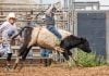 Strohmenger wins calf riding during SCYBR season opener at Hauser’s Bucking Bull Arena rodeo