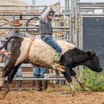 Strohmenger wins calf riding during SCYBR season opener at Hauser’s Bucking Bull Arena rodeo